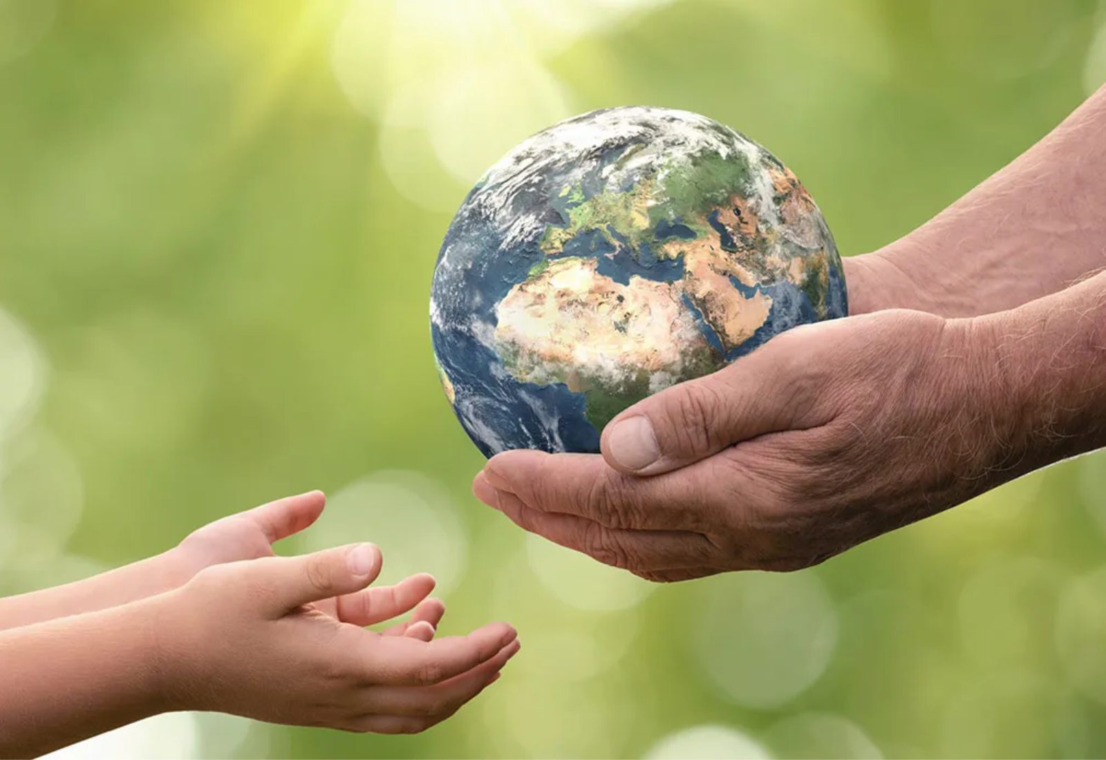 Giornata Mondiale dell’Ambiente: l’edilizia sostenibile parte dai materiali