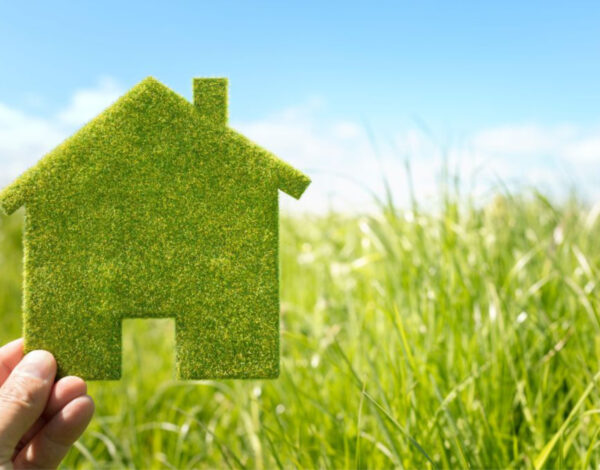 Materiali da costruzione sostenibili: ecologia e innovazione al servizio dell’edilizia